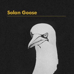 Solan Goose (Radio Edit)