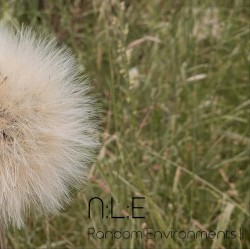 Random Environments ||