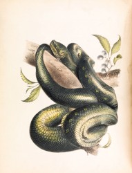 We Both Believed in Distorting Belief Systematically, but All We Had to Do Was Stuck in a Funk; We Agreed on a Crime and We Said It's Too Late to Call It Quits, Now We're Both Guilty, Now We're Both Innocent, So Why Don't We Just Say a Prayer to the Analog Godhead of Guantanamo Bay Detention Camp?