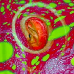 Bar Electric 1975 . 2005