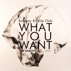 What You Want (The Darcys remix)
