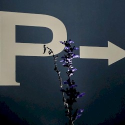 それからのこと (Passed Sound Source)