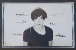 Wind in the Wires: The Demos