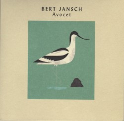Avocet