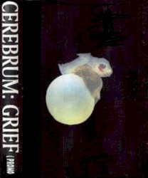 Grief