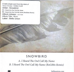 I Heard the Owl Call My Name