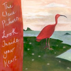 Look Inside Your Heart