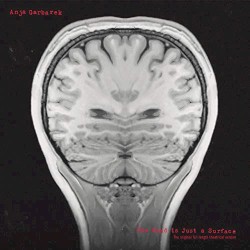 The Road Is Just a Surface