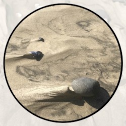 Moonlit Missive #111: 'The Shadow of a Rose'