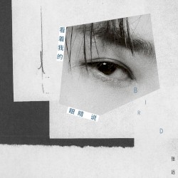 看着我的眼睛说