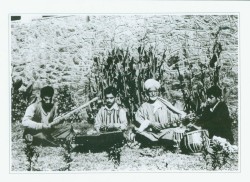 Concert Freiburg (Germany), 16th June 1984