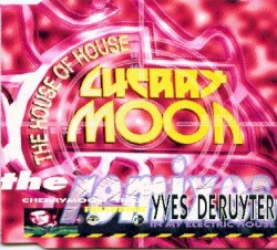 In My Electric House (The Remixes)