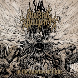 In the Absence of Light