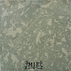 Chasing the Apocalypse / Quiet the Loud World