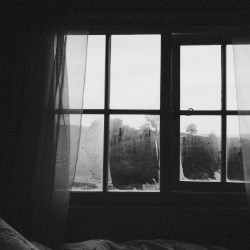 Through the Looking Glass