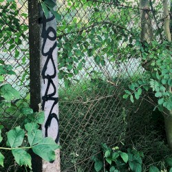 CXT007: Nova x Taiko