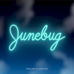 Too Late to Love You