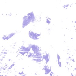 tinyurl.com/3hst93zj