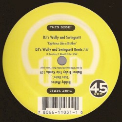 Righteous Like a Brother (DJ's Wally & Swingsett remix) / Guiro Electro (Rainer Trüby Trio remix)