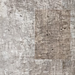 I Know Where the Vultures Live