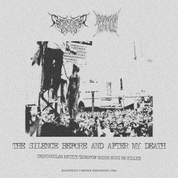 The Silence Before And After My Death