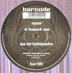Haunt Me / Brickbeats
