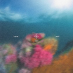 coral reef