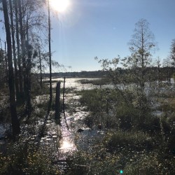 28°15'3.36N 82°38'7.82W