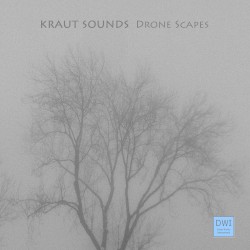 Drone Scapes