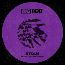 Destiny (extended mix)