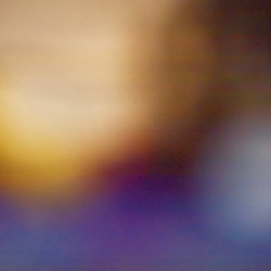 Silhouettes for a New World