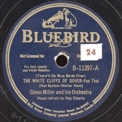 (There'll Be Blue Birds Over) The White Cliffs of Dover / We're the Couple in the Castle