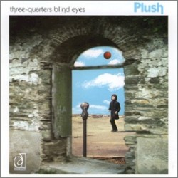 Three-Quarters Blind Eyes