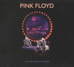 Delicate Sound of Thunder