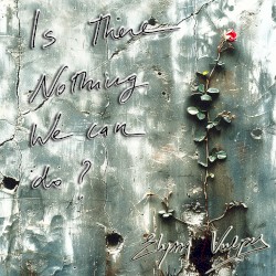 Is There Nothing We Can Do?