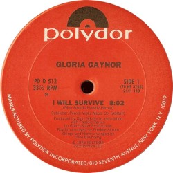 I Will Survive / Yo Vivire (Spanish Version)