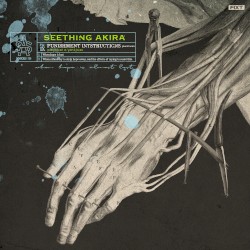 Punishment Instructions