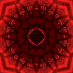 Anna (live in studio)