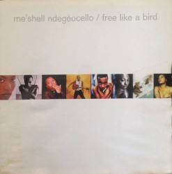 Free Like A Bird