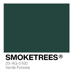 Verde Foresta