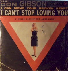 I Can Mend Your Broken Heart