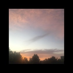 pink sky