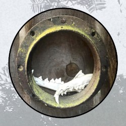 Moonlit Missive #90: 'Gold in the Hillside'