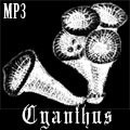 Cyanthus: Extended Title theme
