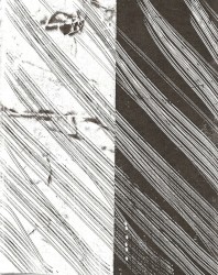 elegy