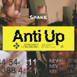 Shake (extended mix)