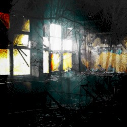 An Old Tape of What You Found in the Woods Behind the Abandoned School