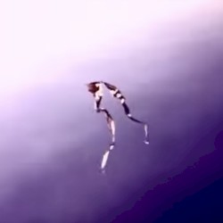 希望の鮮明な記憶