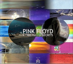 A Tree Full of Secrets