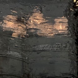 Nachtschwänze (あかるいよる)